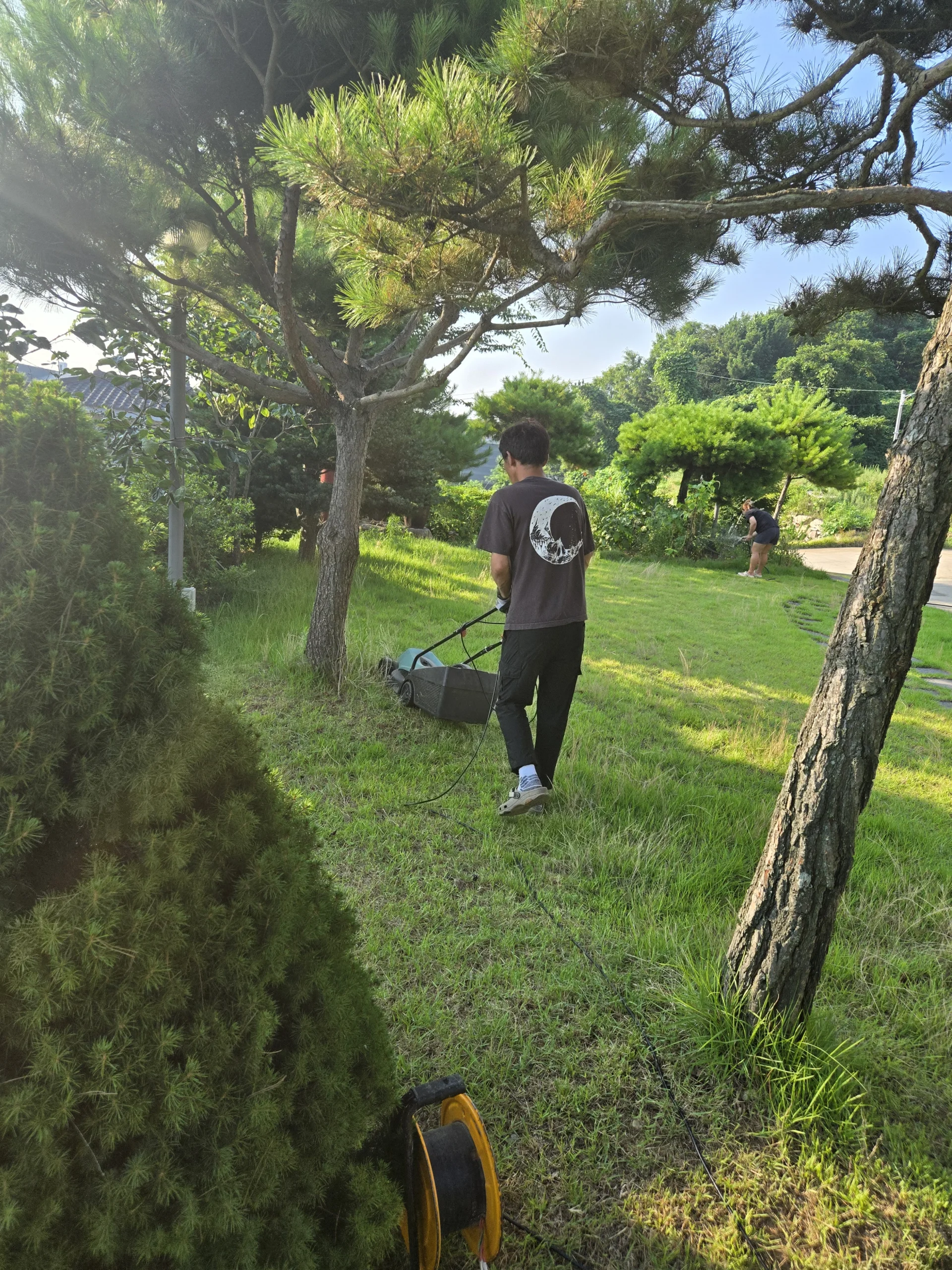 잔디관리 교육 소나무 사이에서 잔디깎기를 사용하는 실습 실제 수강 사진